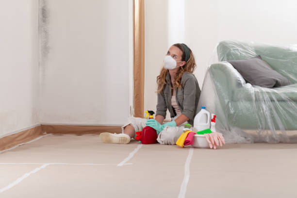 Reliable Black Mold Removal contractor in Greenville, IL by WQB Mold Removal